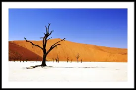 Desert in Namibia