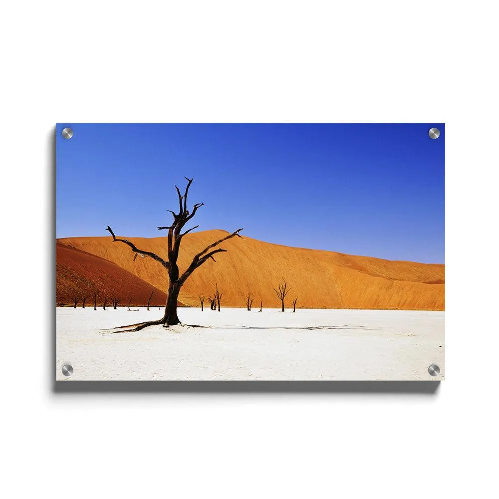 Desert in Namibia