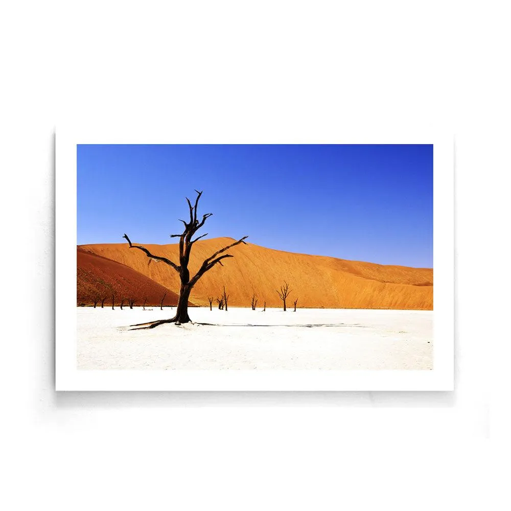 Desert in Namibia