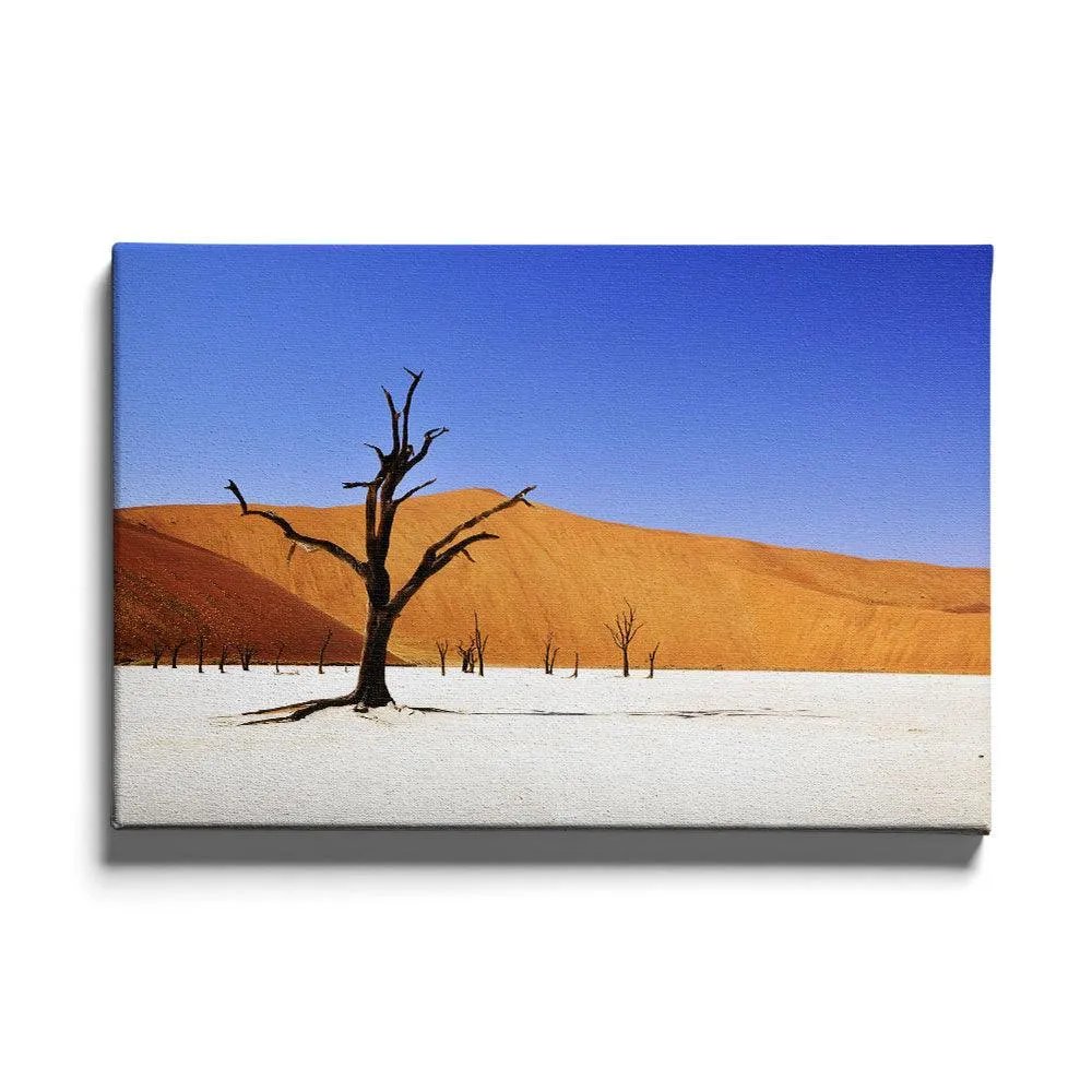 Desert in Namibia