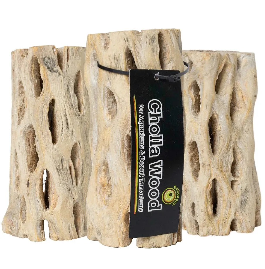 NewCal Cholla Wood 6" 3pack